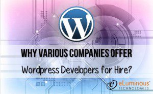 WordPress Development Company_