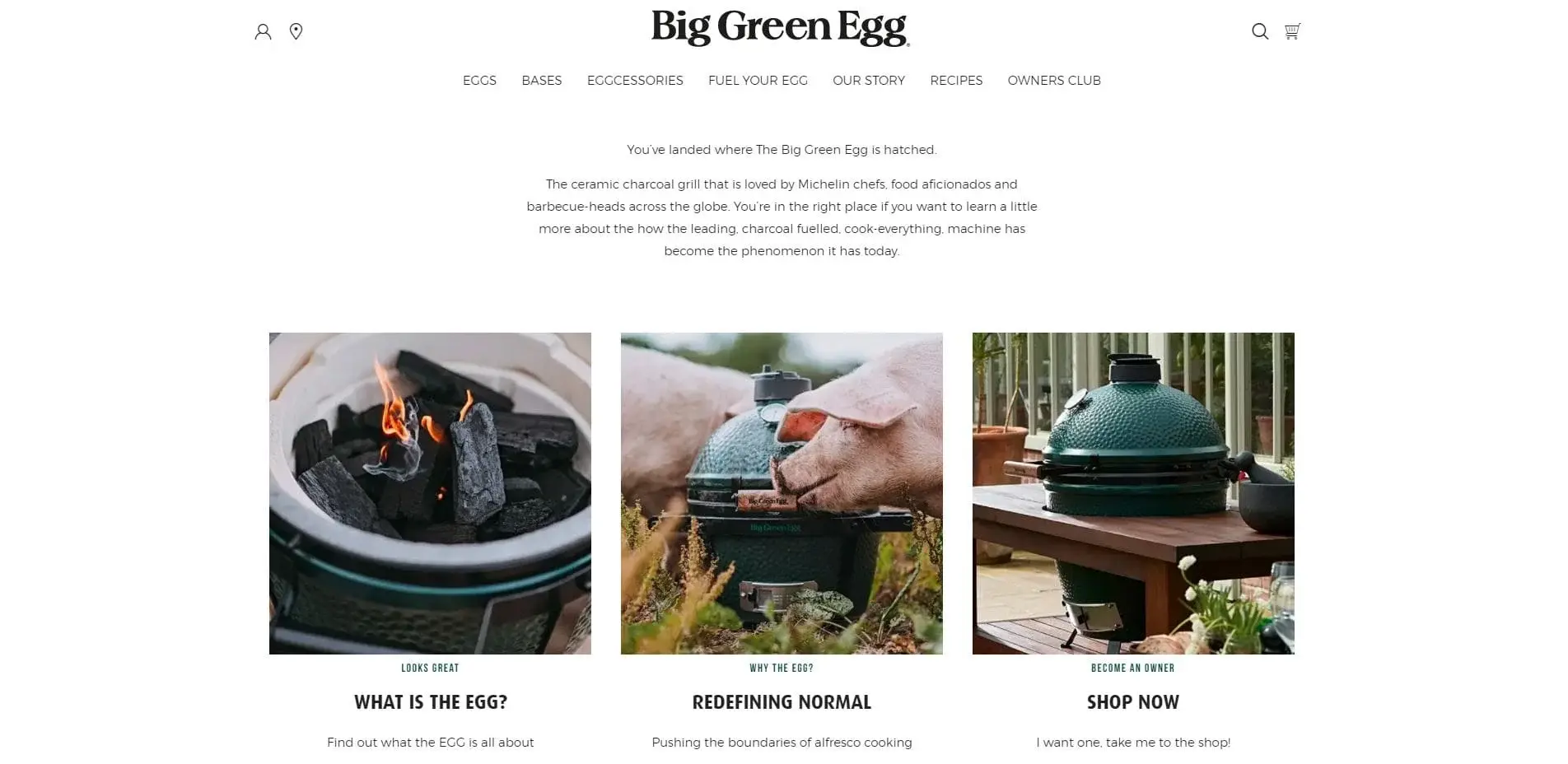 Big Green Egg