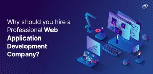 Benefits of Working with a Professional Web Application Development Company