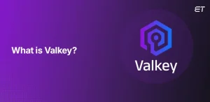 Introduction to Valkey A High-performing Data Store