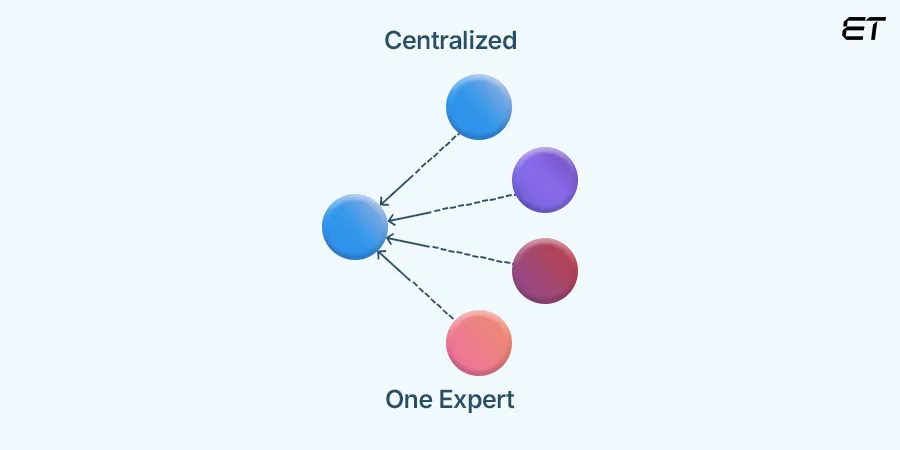 Centralized Software Development Team Structure