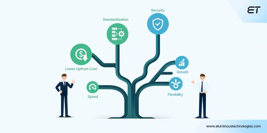 When to Choose Which Option- Off the Sheif vs Custom Software