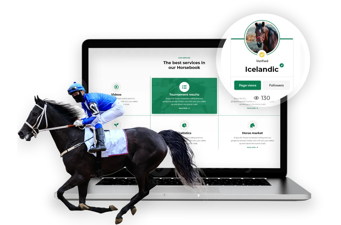 All In one platform for the Equestrian Community Interface