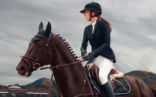 All In one platform for the Equestrian Community Image